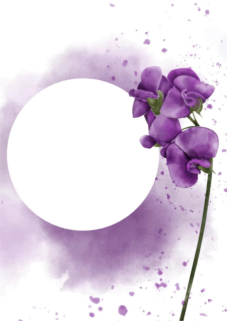 Cover Back Purple Orchid
